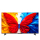 TCL 50S5L 50" QLED AndroidTV - 1528757 - zdjęcie 2